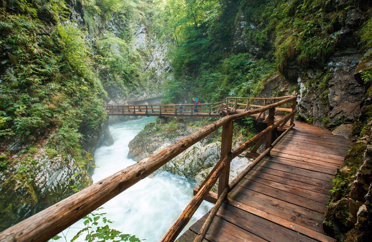 成都碧峰峡景区-图2