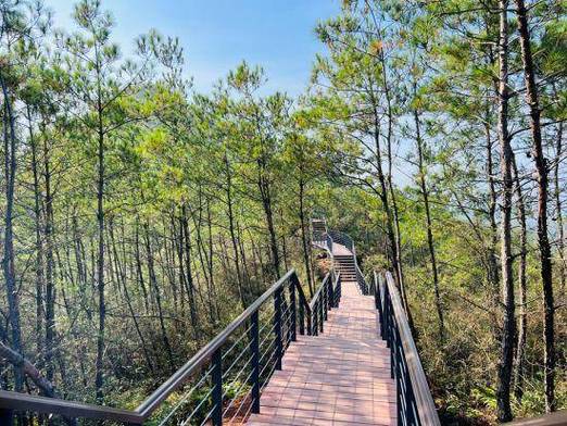 鬲山风景区-图3