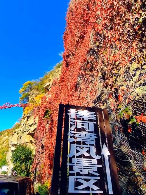 棒河湾风景区-图3