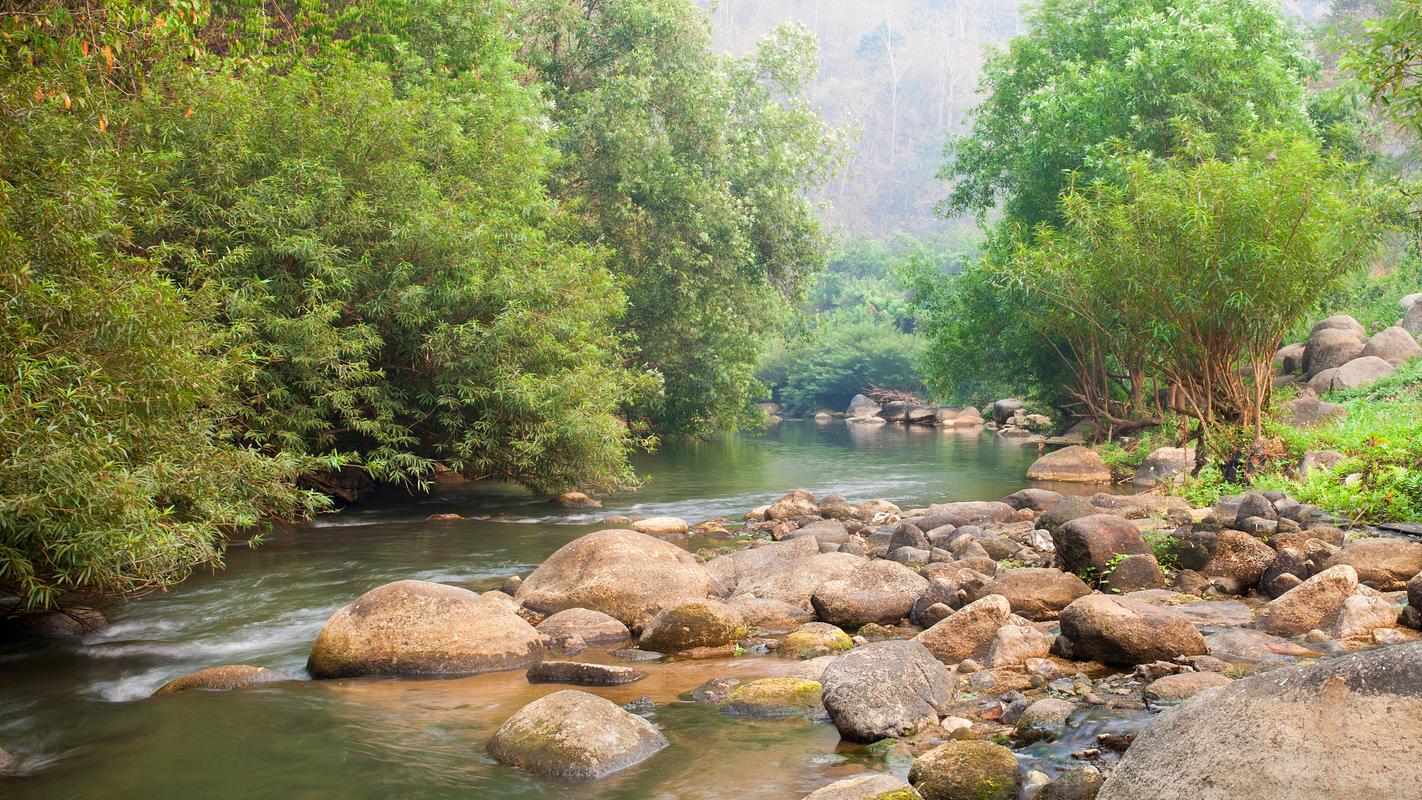 溪头风景区-图3