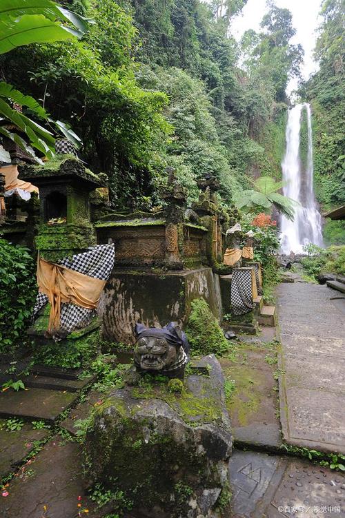 溪头风景区-图2