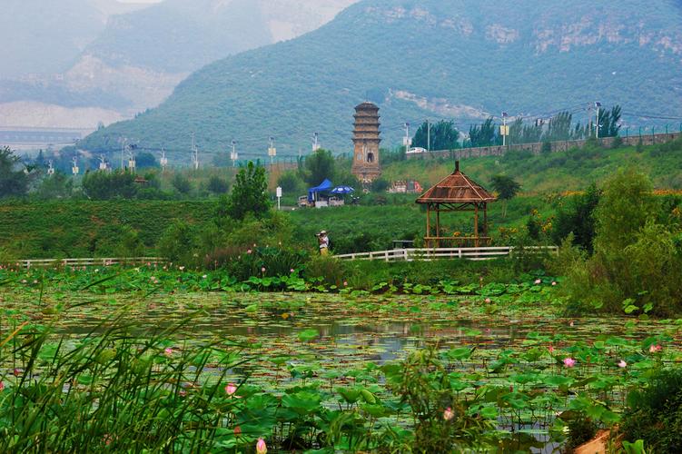 天开花海景区-图2