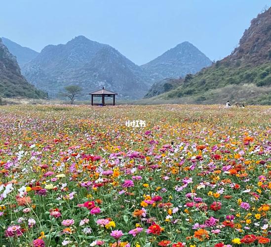 桂林花海景区在哪-图1