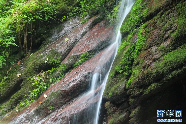 贵州亚木沟景区-图1