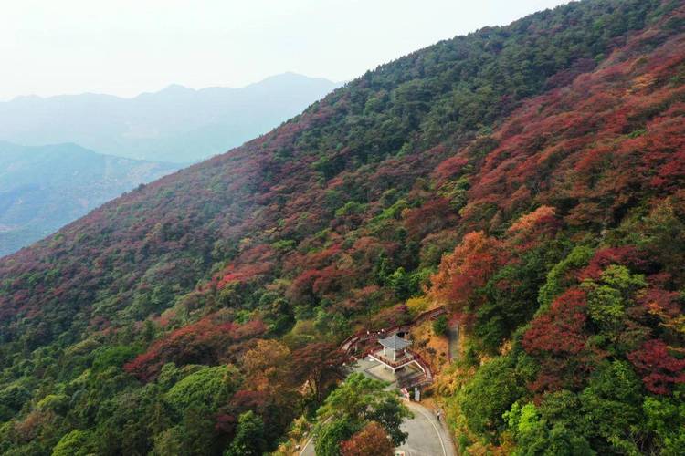 广东红叶景区在哪里-图1