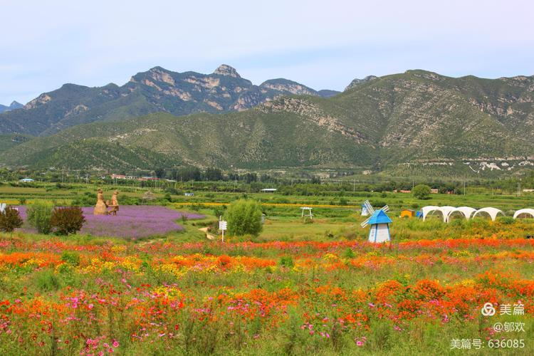 房山天开花海景区-图1