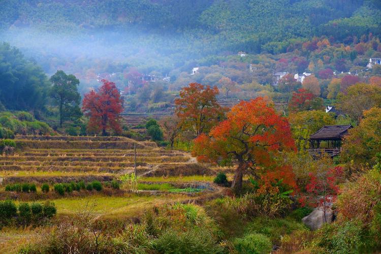 宜黄县风景区-图2