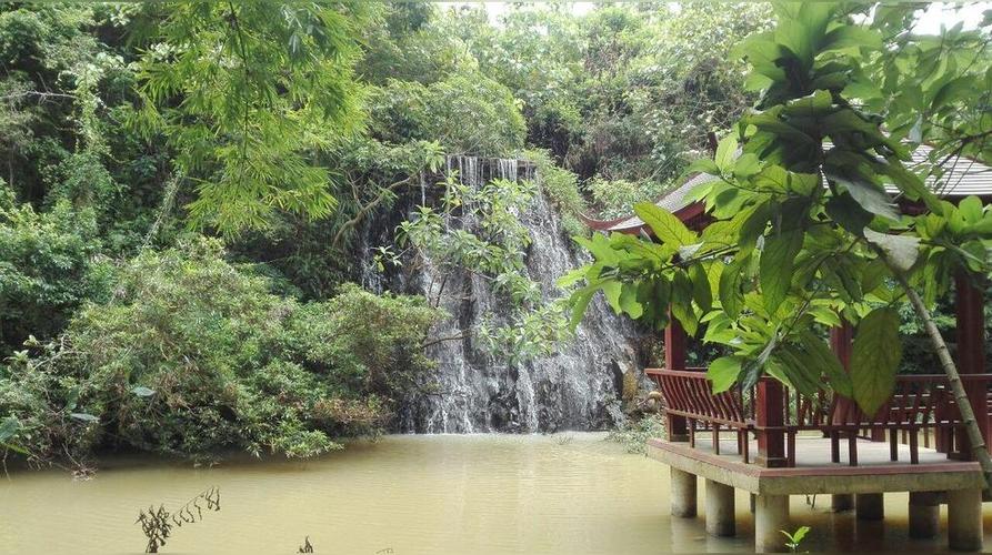 江川凤凰谷风景区-图2