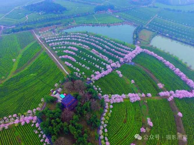 江西南昌凤凰沟景区-图2