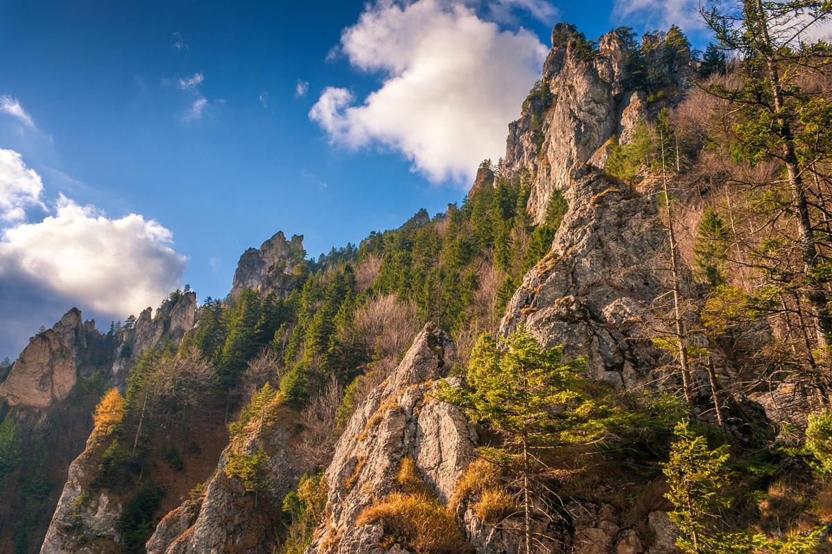 贵清山风景区-图1