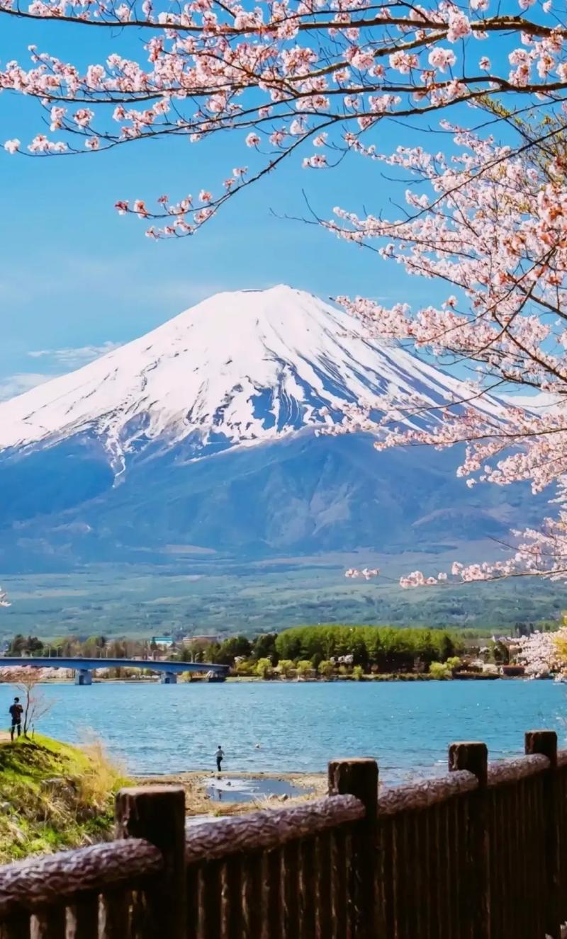 富士山风景区-图3