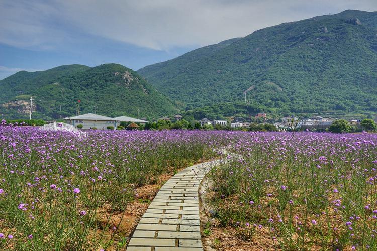 桃花岛塔湾金沙景区-图3