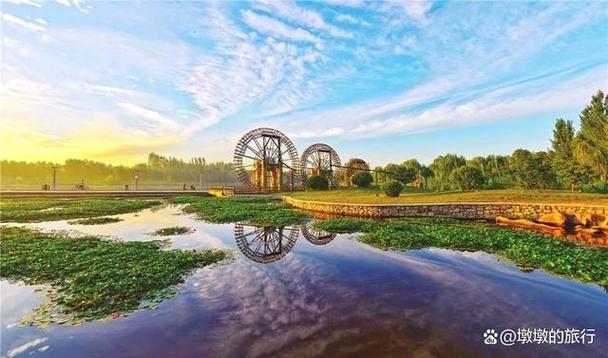 德州减河湿地风景区-图1