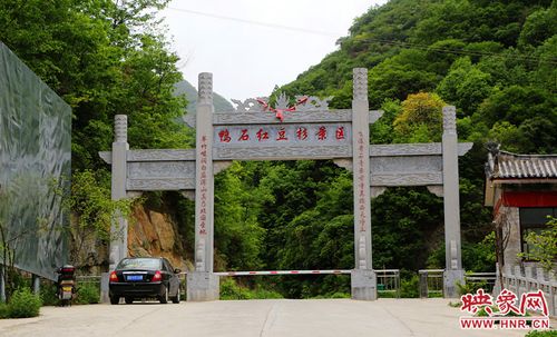 栾川鸭石红豆杉景区-图1