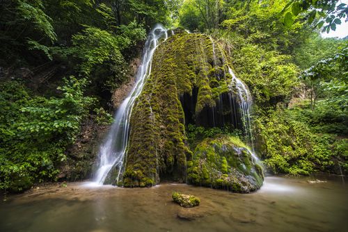 栾川鸭石红豆杉景区-图3