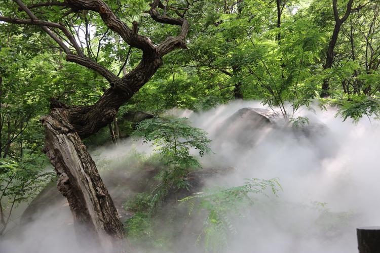 淄博幽幽谷风景区-图2