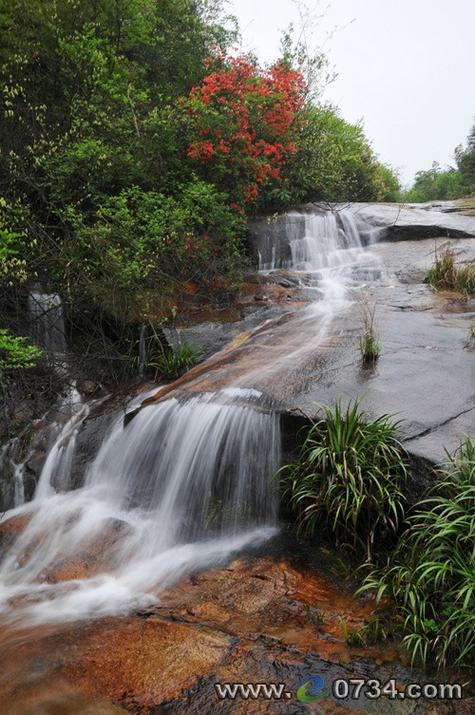 衡山野梅谷风景区-图2