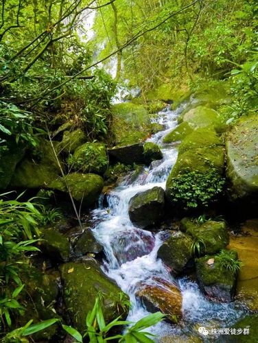 衡山野梅谷风景区-图3