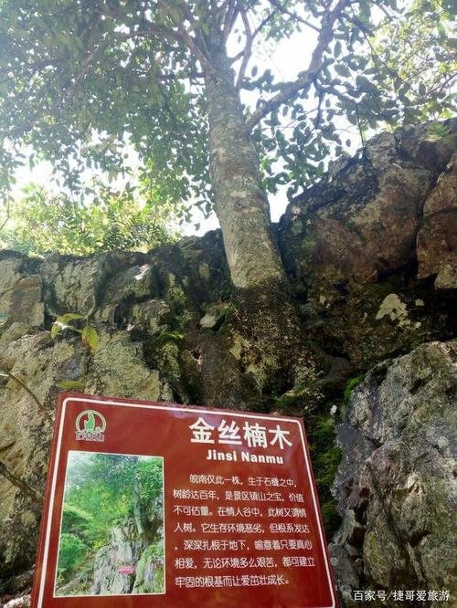 宁国石柱山风景区门票-图2