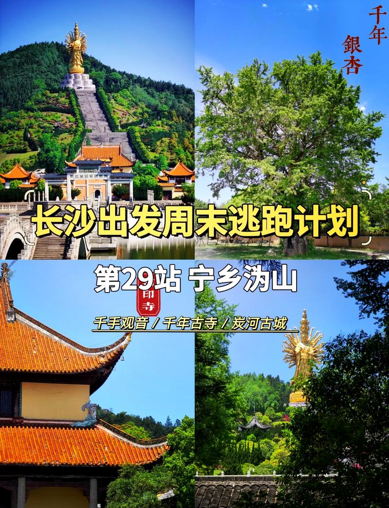 宁乡沩山风景区门票-图1