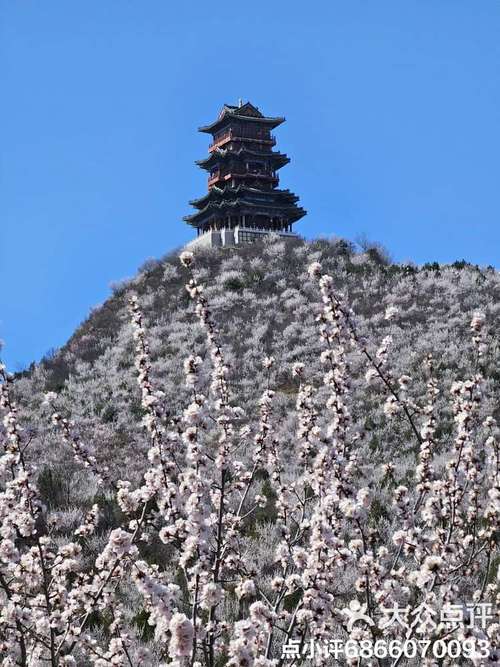 定都阁旅游风景区-图2