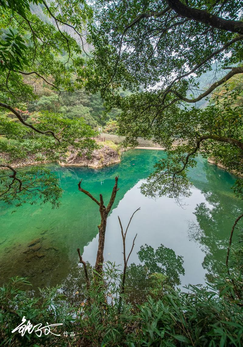 铜铃山国家森林公园景区-图2