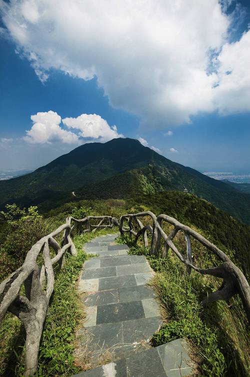 温州白云山风景区-图1