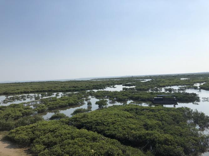 东兴七彩贝丘湾景区-图1