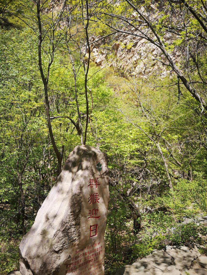 梨木台风景区门票价格-图1