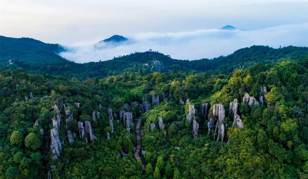 四川华蓥山风景区-图3