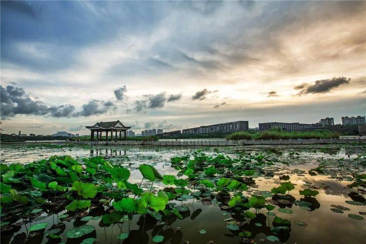 松山湖烟雨景区要门票吗-图1