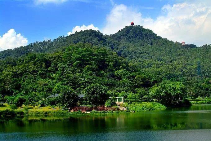 东莞长安莲花山风景区-图2