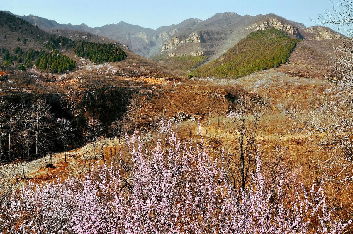 海淀凤凰岭自然风景区-图3