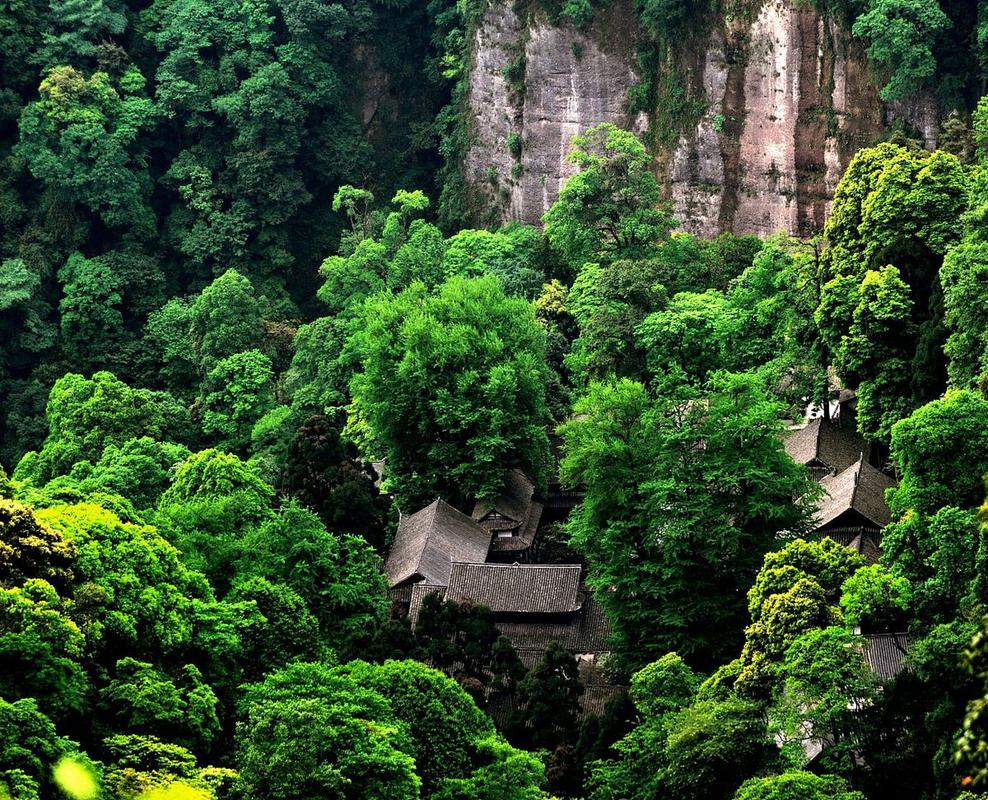 成都天台山风景区旅游-图3