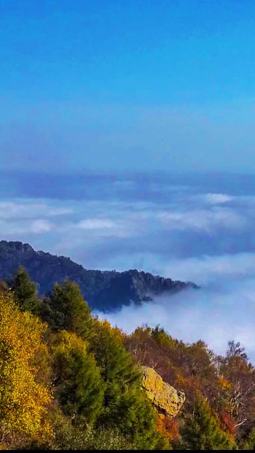 百花山自然风景区天气-图1