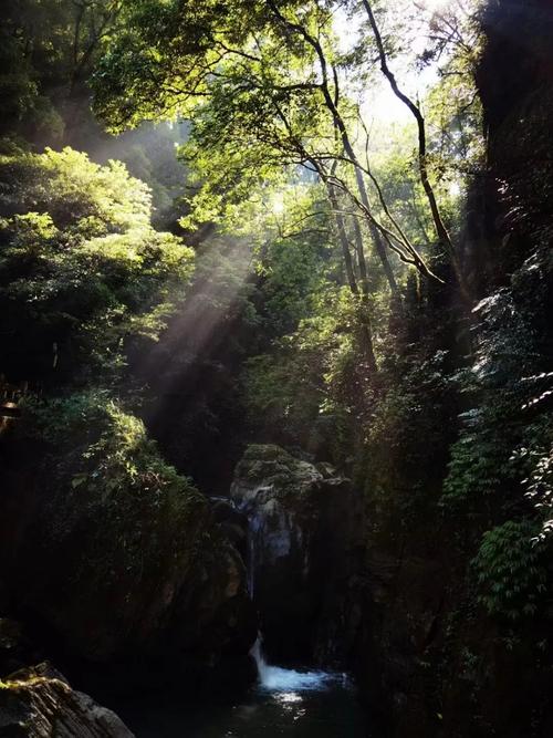 碧潭幽谷景区-图1