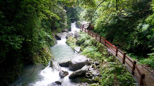 碧潭幽谷景区-图2