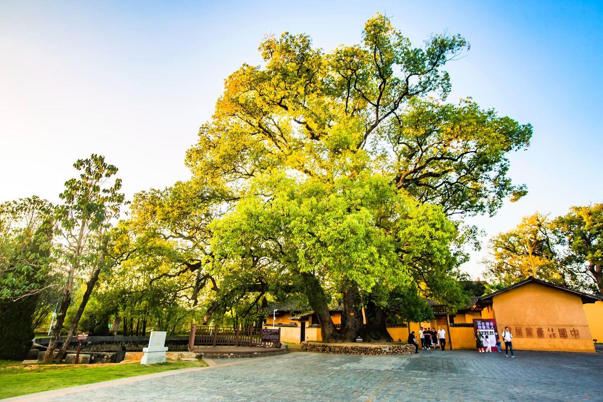 沙洲坝景区-图1