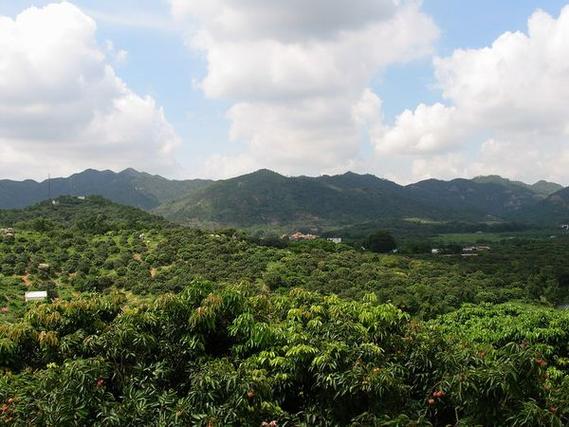 荔枝皇景区-图3