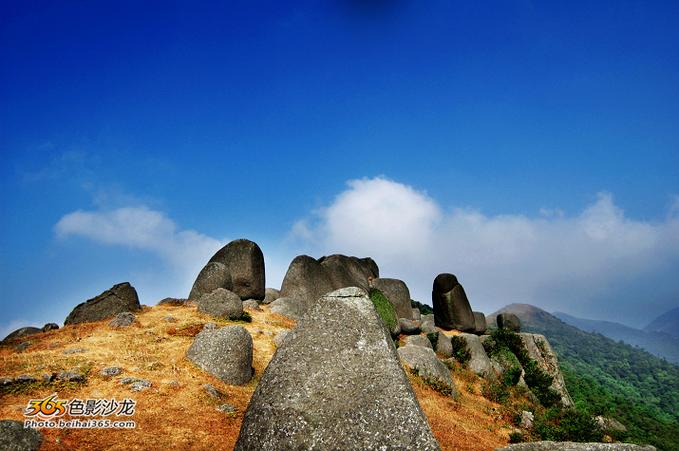 荔枝皇景区-图2