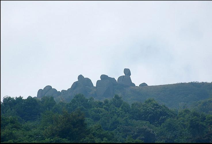 荔枝皇景区-图1