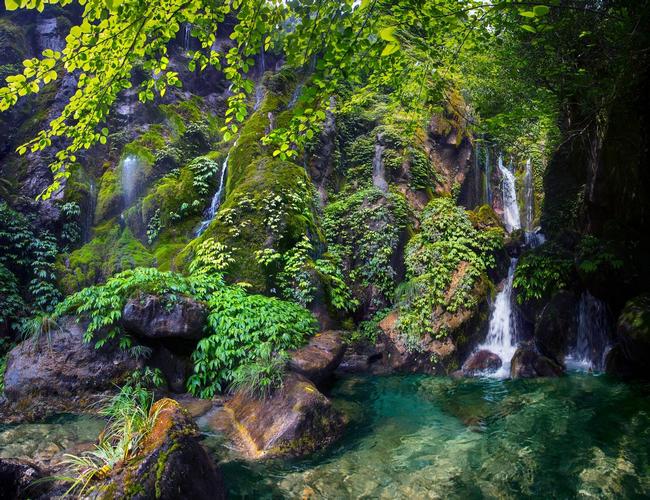 农夫山泉景区-图3