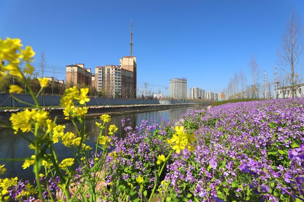 郸城周边景区-图2