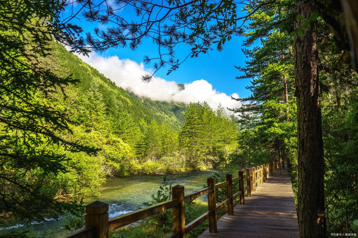 阿坝卧龙景区-图2