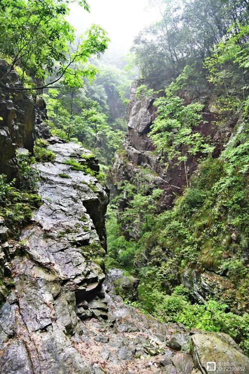 洛口山景区-图2