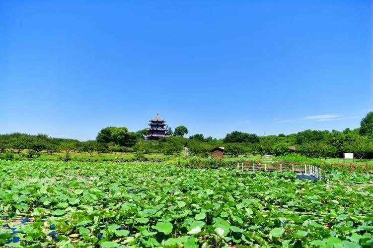 上海海湾景区-图1