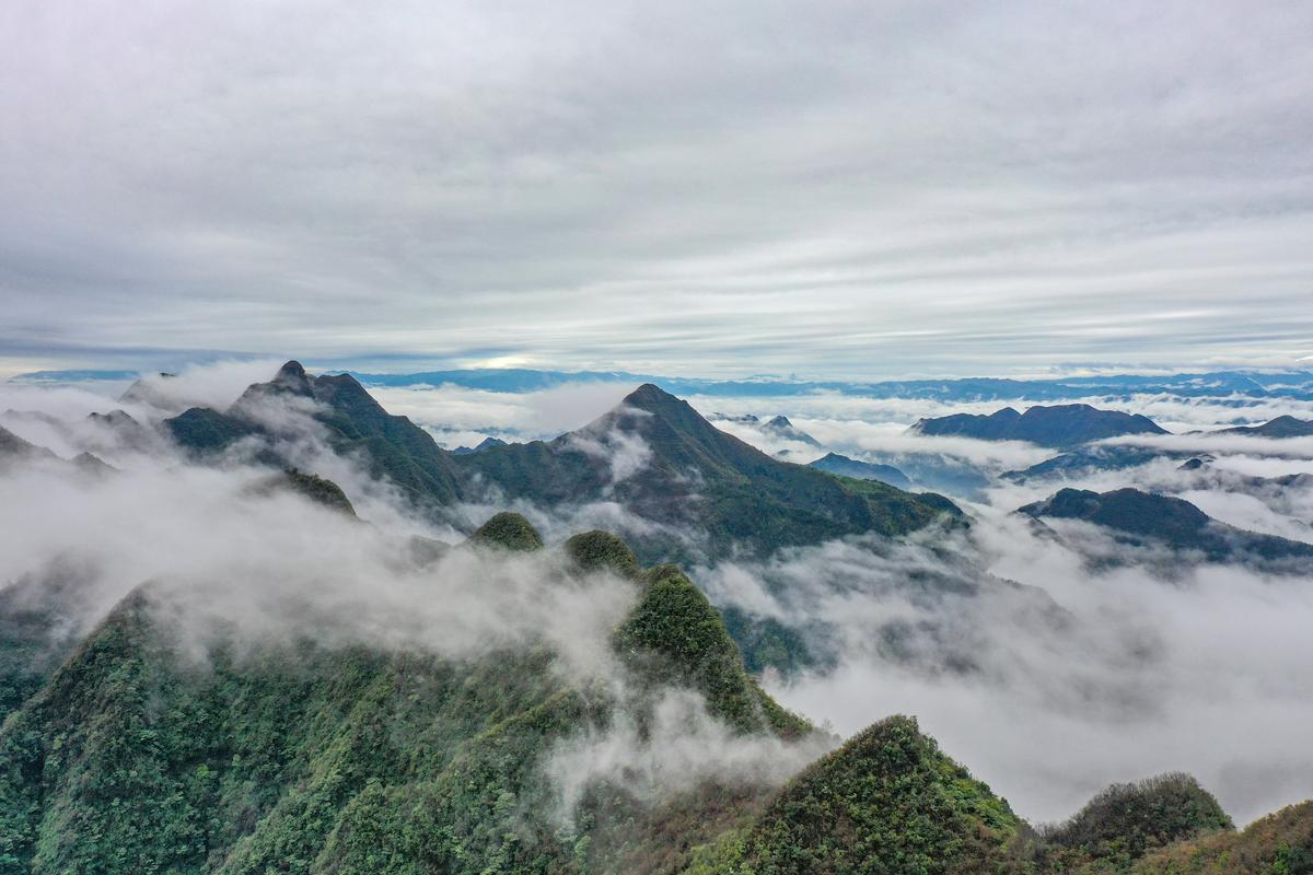 重庆秀山景区-图3