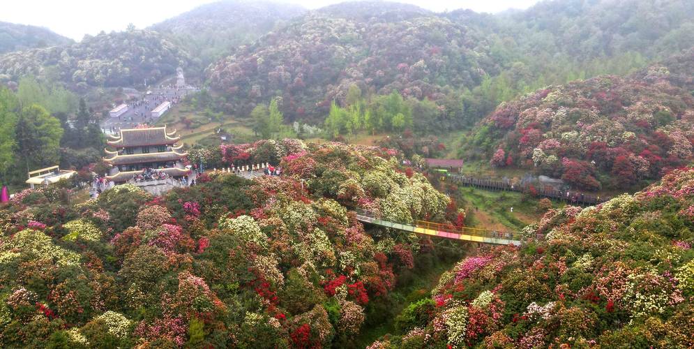 贵州金坡景区-图2