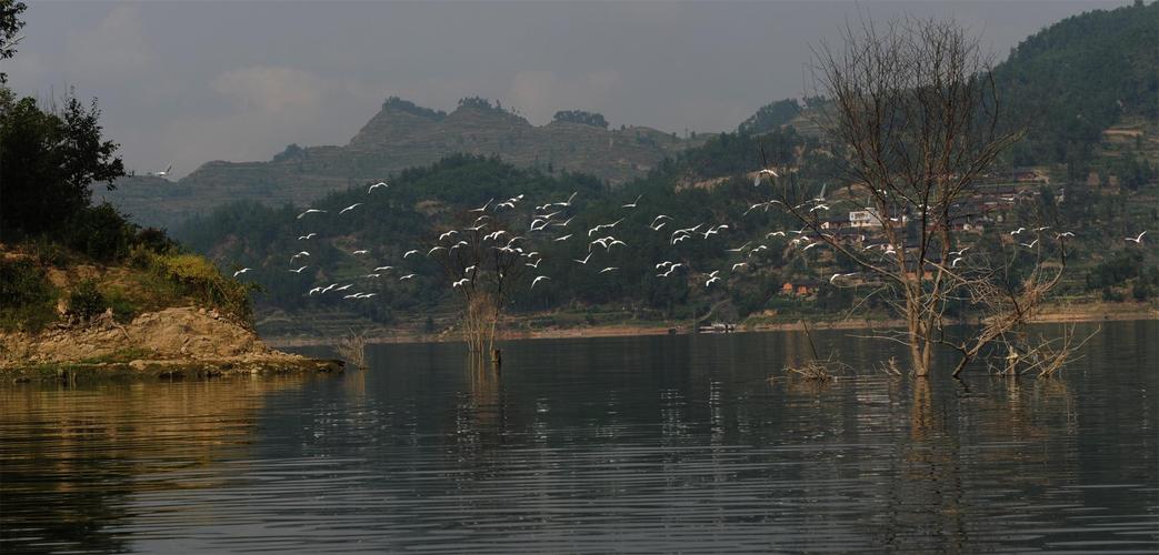 思南白鹭湖景区-图1