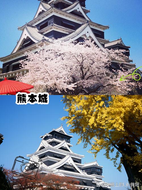 熊本著名旅游景区-图3